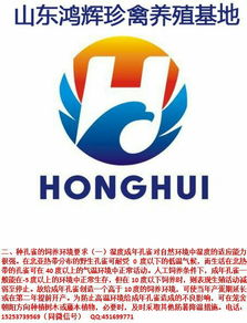 山東鴻輝珍禽養(yǎng)殖場(chǎng)與鴻雀信息科技 珍禽養(yǎng)殖與數(shù)字創(chuàng)新的融合典范